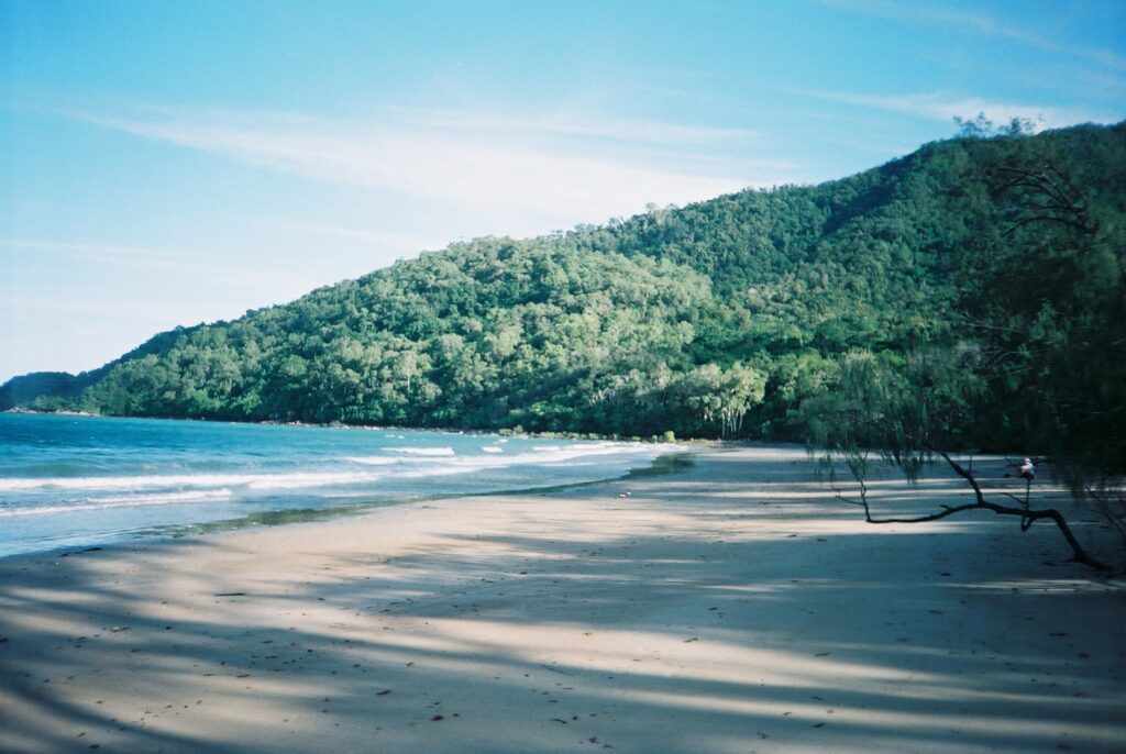 Sandy beach surrounded by rainforest in Queensland, Australia