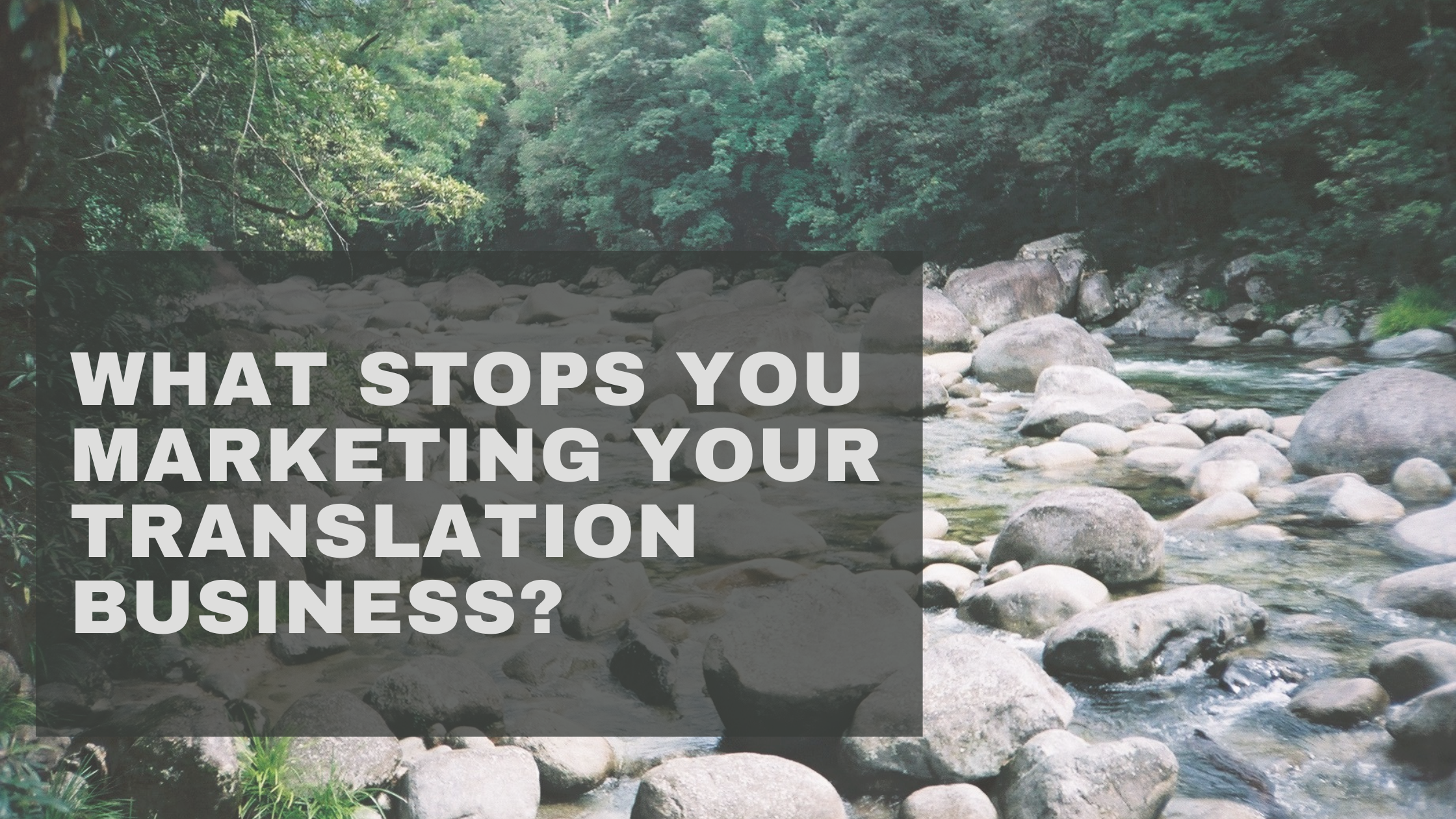 What Stops You Marketing Your Translation Business?