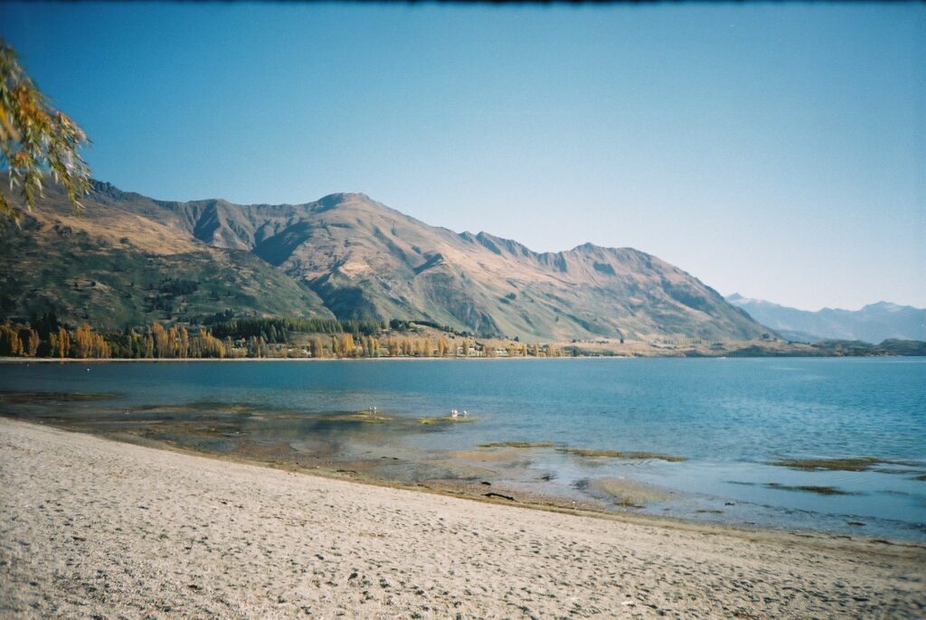 A coastal landscape in New Zealand with mountains in the background
